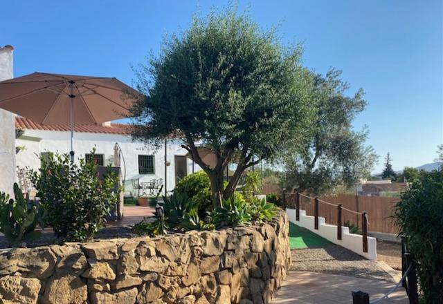 La Casa Palmera - Caminito Del Rey Pizarra Exteriér fotografie